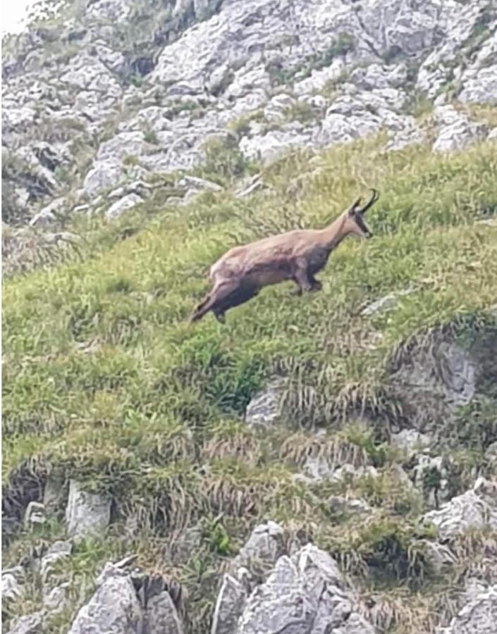 Stephanie Residence Esino Lario Dış mekan fotoğraf